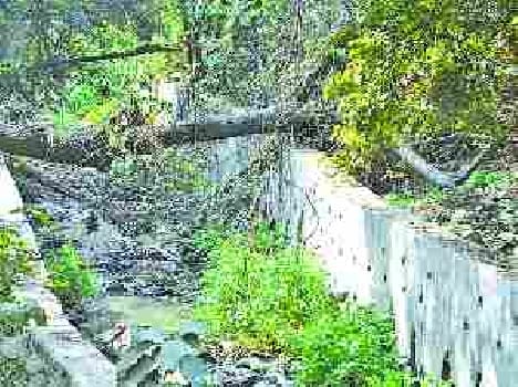 Gomti polluted by sick water.